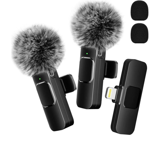 LY Microphone 2
